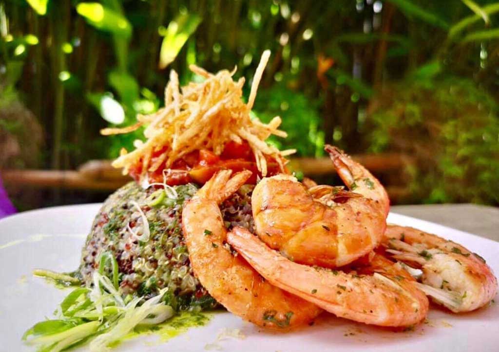 Shrimp and quinoa salad beautifully presented