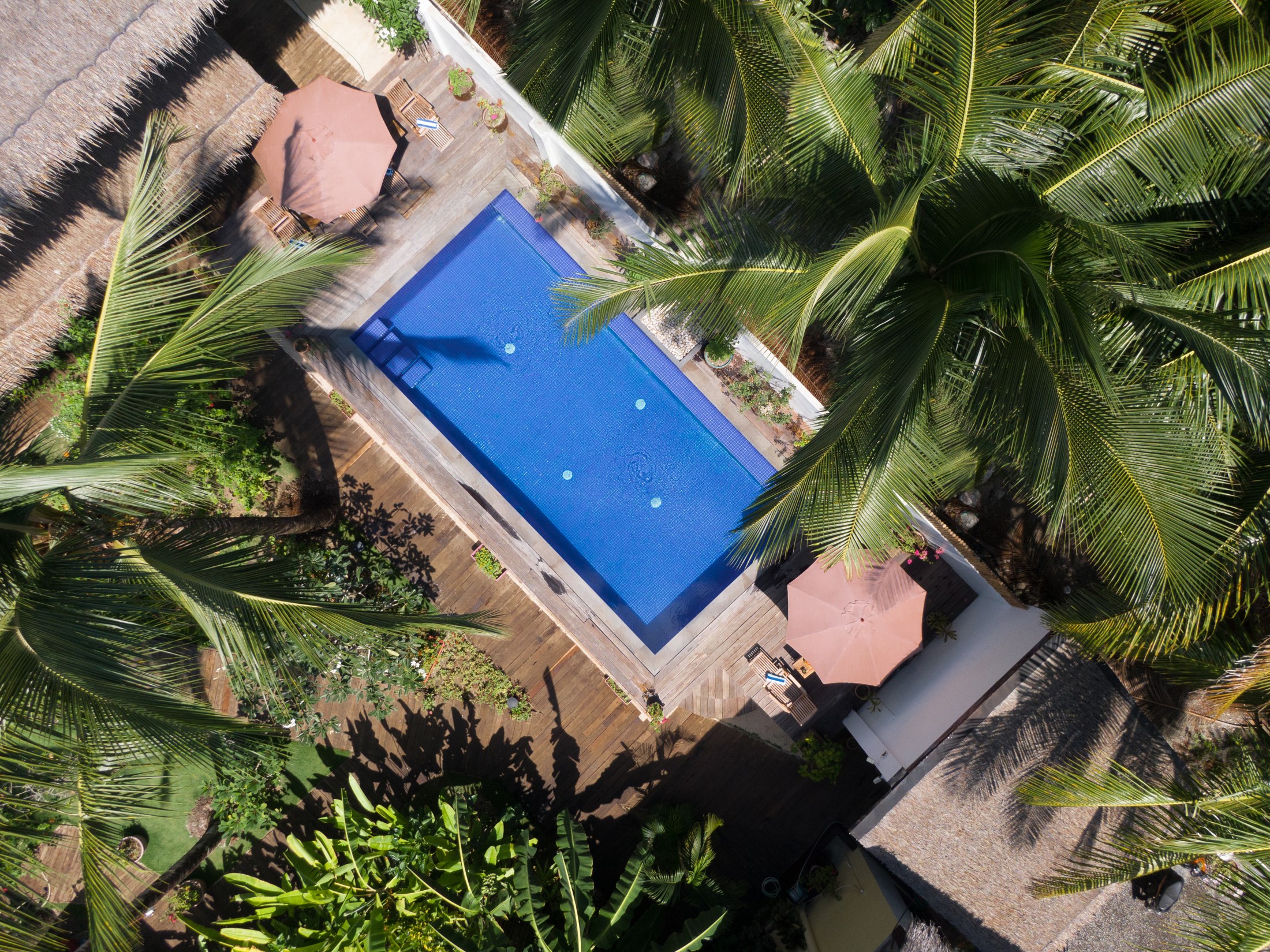 Bird’s-eye view of Kalipay’s garden swimming pool